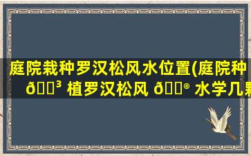 庭院栽种罗汉松风水位置(庭院种 🌳 植罗汉松风 💮 水学几颗zui
好)